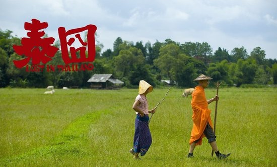 《泰囧》首日票房3500万 “能笑的贺岁片”受捧