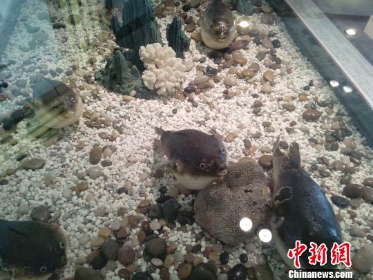 曹妃甸感受海岸生活:工业区出现海滨城市(图)