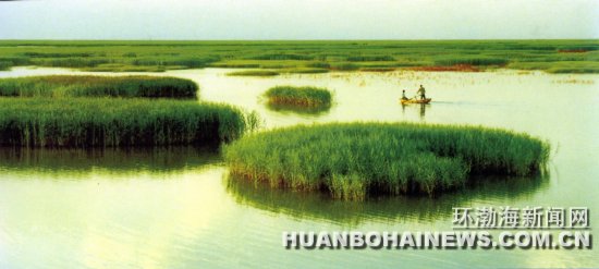 ������ɽ:�β�����ʪ