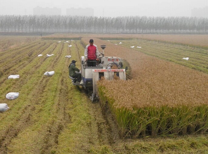 ����������ũ��2��